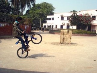 BMX Fittoo