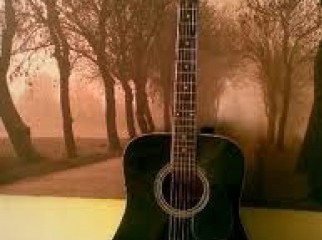Accouistic guiter flora with bag