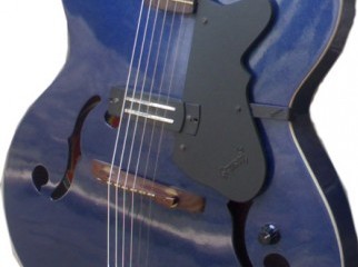 GRASON ACOUSTIC GUITAR SPECIAL EDITION bought from INDIA