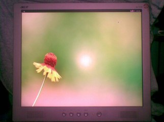 ACER AL1714 17 HD LCD Monitor Square