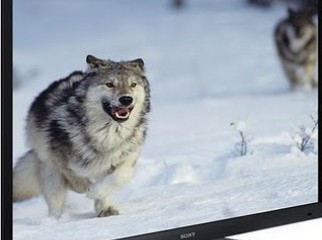 Sony Bravia 42 EX41 LED