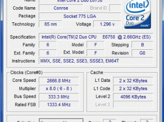 Intel 2.66Ghz 1333 BUS-4MB Core 2Duo Asus P-5Q EM 45Chip
