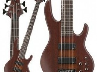 Esp d5 with ESP hardcase brand new condition