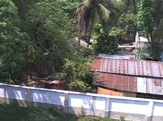 3 Katha Fresh Land at Khulkna Urgent