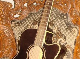 Floda Pure Acoustic guitar with BAG
