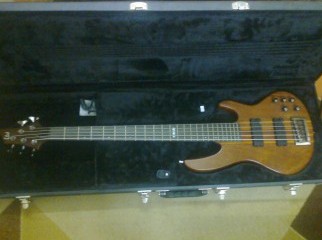ESP LTD D5 ESP LTD B Universal Bass Case 3 months used