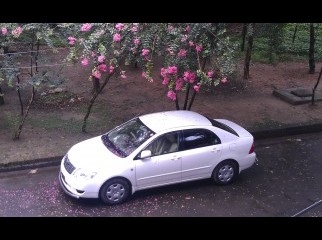 Toyota X Corolla New - 2005 Model Registration-May 2012 Toyota X Corolla New - 2005 Model Registration-May 2012