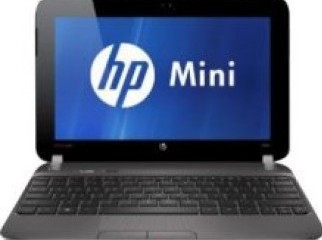 HP Mini 10.1-Inch Netbook Black