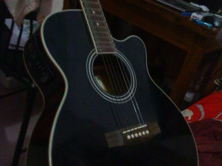 Flora Acoustics Guitar Model W-024CEBK