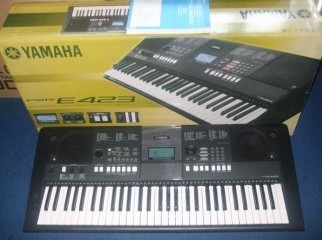 Sale Sale Sale For Few Days- New PSR-E423 Intact Carton.