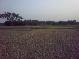 Purbachal Marine City surrounded by Sector no. 21 22 30