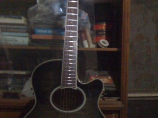 Acoustic Guitar Jack Danny