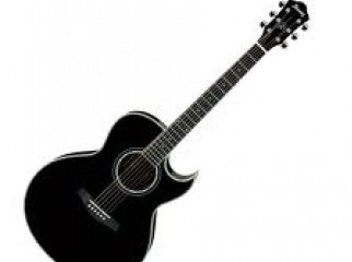 signature guiter