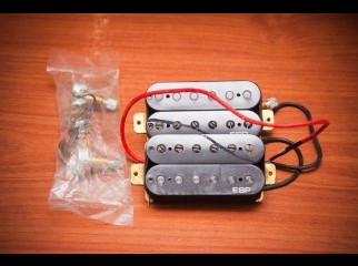 ESP LH-150 Bridge and neck pickups