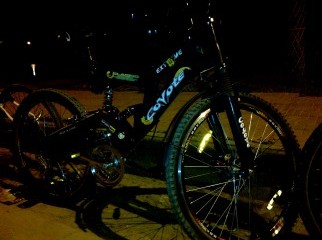 Coyote extreme