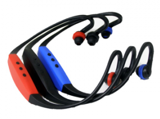 Sports Mp3 non builtin Memory and 2 GB builtin memory