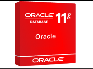 Oracle 11g R-2 Software with video tutorial 10-DVDs