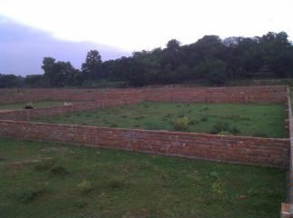 Ready Plot For Urgent sale In Mohammadpur Washpur
