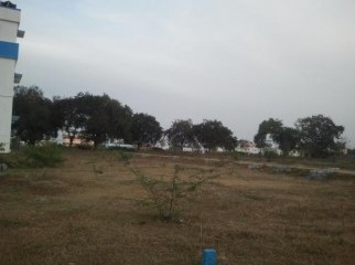 Ready Plot For Urgent sale In Mohammadpur Washpur