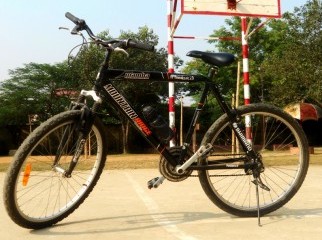 MAMBA - Pro Bike Mountain
