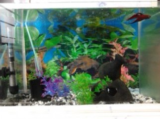 Aquarium Automatic heater Spongefilter Airpump ETC.MUST SEE