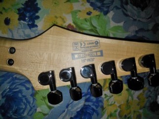 Ibanez Jem Jr BK Gig Bag n Stripe included