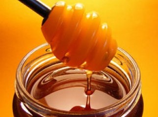 100 Pure Honey From Sundarban for Sale 100ml 250ml 500ml
