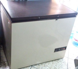 Vestfrost 12 cubic ft Deep Fridge