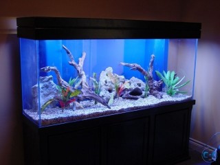 6 FEET 2.5 FEET 3 FEET ALMOST NEW AQUARIUM CALL 0194122220