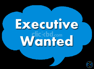 Sales Executive