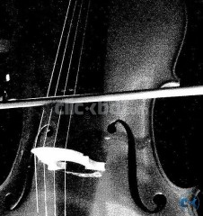 Cello