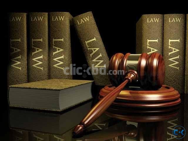 want a job for junior lawyer large image 0
