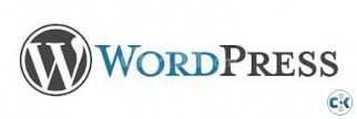 Wordpress Developer