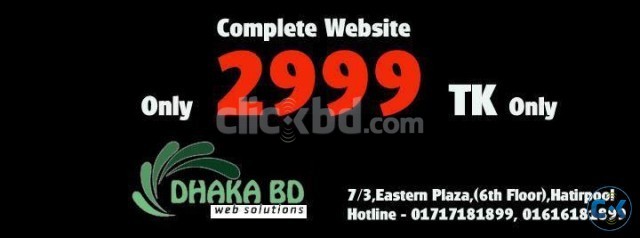 Complete WEB SITE only at TK. 2999 large image 0