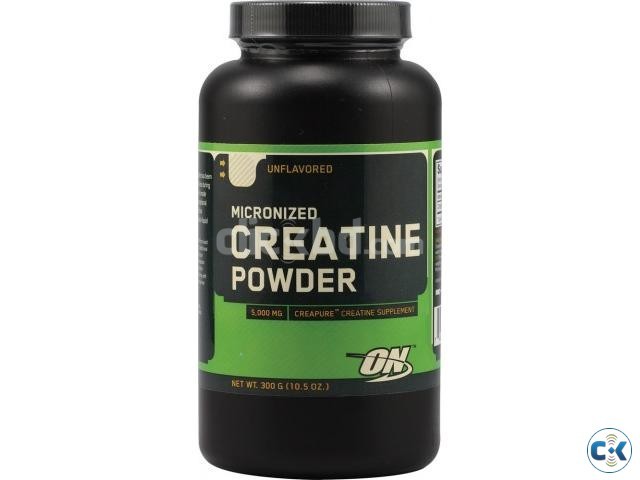 ON Micronized Creatine Powder large image 0