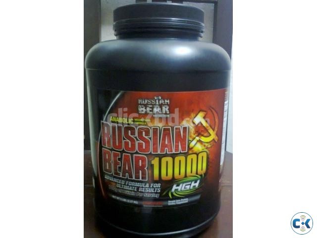 RussianBear Serious Weight Gain Formula 5 lb large image 0