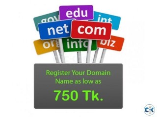 Domain Registration