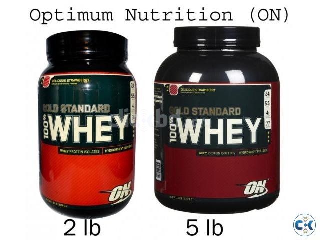 ON Gold Standard 100 Whey Protein large image 0