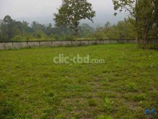 Need Land for Agro - Rent or Lease