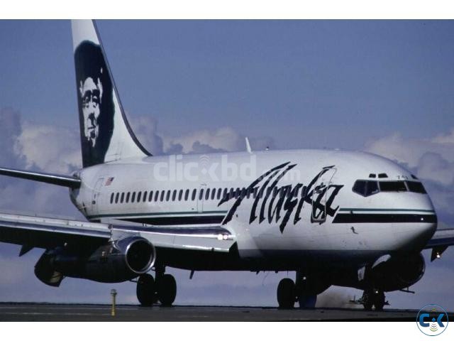 USA Air Ticket large image 0