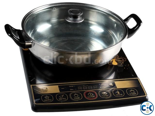 Vision Induction Cooker large image 0