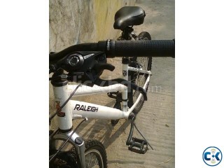 Raleigh Heather Urgent Sale Upgraded