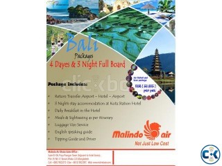 Dhaka to Bali Indonesia 4Days 3Nights