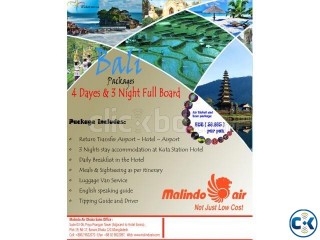 Dhaka to Bali Indonesia 4Days 3Nights