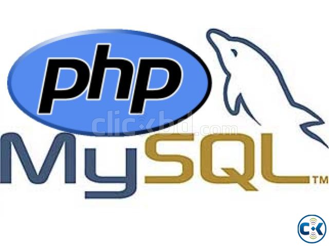 Professional PHP Programmer large image 0