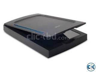 Mustek A3 2400S High Speed A3 Large Format Color Scanner