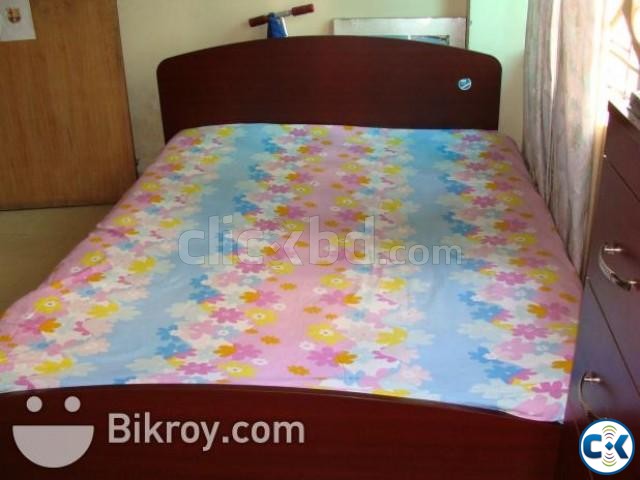 Otobi Double Bed large image 0