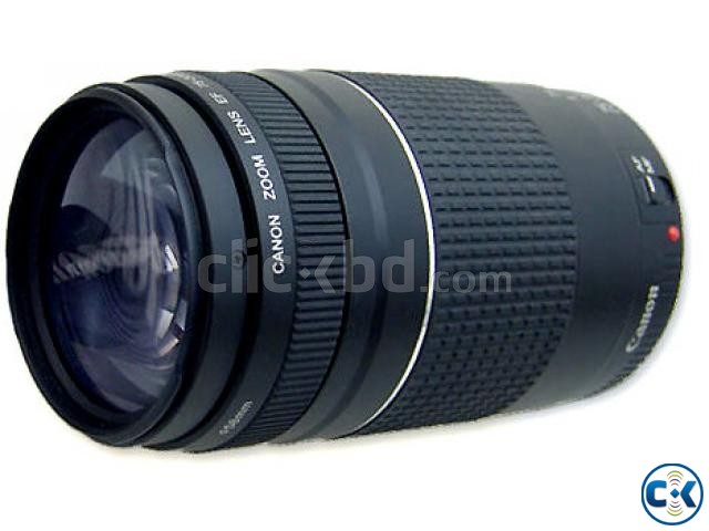 Canon EF 75-300mm f 4-5.6 III Lens large image 0