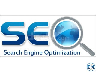 SEO Expert