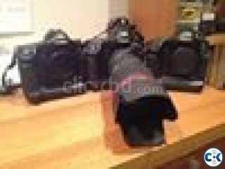 for sale Canon and nikon camera